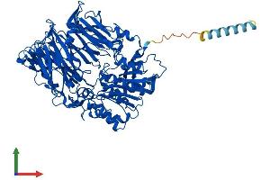 AlphaFold protein structure predicition of Human Recombinant FAP Protein, UniprotID Q12884