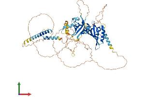 AlphaFold protein structure predicition of Human Recombinant BMAL2 Protein, UniprotID Q8WYA1