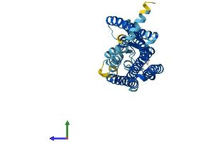 AlphaFold protein structure predicition of Human Recombinant OR5P3 Protein, UniprotID Q8WZ94