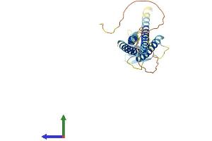 AlphaFold protein structure predicition of Human Recombinant CLDN18 Protein, UniprotID P56856