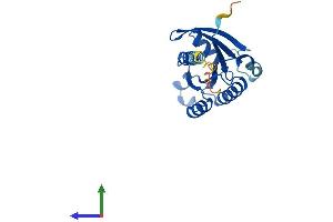 AlphaFold protein structure predicition of Mouse Recombinant Rab24 Protein, UniprotID P35290