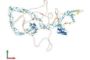 AlphaFold protein structure predicition of Human Recombinant NFX1 Protein, UniprotID Q12986