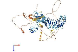 AlphaFold protein structure predicition of Mouse Recombinant Fbxl19 Protein, UniprotID Q6PB97