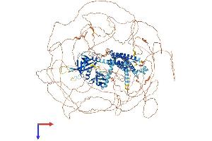 AlphaFold protein structure predicition of Human Recombinant ARHGEF5 Protein, UniprotID Q12774