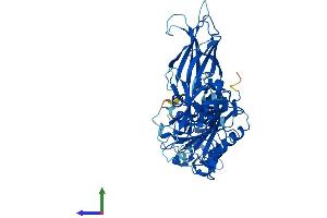 AlphaFold protein structure predicition of Mouse Recombinant Cpne3 Protein, UniprotID Q8BT60