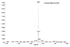 Mass Spectrometry (MS) image for Histone H3 (H3) (H3R8me2a) protein (ABIN2669564)