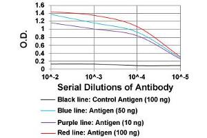 ELISA analysis of PLA2G12A monoclonal antibody, clone 7C7C9  at 1:10000 dilution.