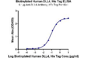 Immobilized Anti-DLL4 Antibody, hFc Tag at 1 μg/mL (100 μL/Well) on the plate.