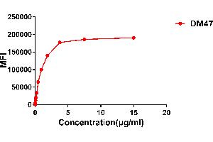 Flow cytometry data of serially titrated Rabbit anti- monoclonal antibody (clone: DM47) on Expi 293 cell line transfected with human .