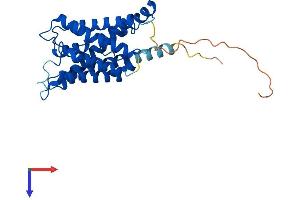AlphaFold protein structure predicition of Human Recombinant AQP6 Protein, UniprotID Q13520