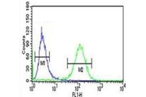 RAB27B antibody flow cytometric analysis of NCI-H460 cells (green) compared to a negative control (blue).