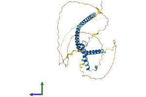 AlphaFold protein structure predicition of Mouse Recombinant Hexim1 Protein, UniprotID Q8R409