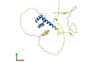 AlphaFold protein structure predicition of Human Recombinant NKX2-2 Protein, UniprotID O95096