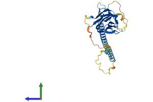 AlphaFold protein structure predicition of Mouse Recombinant Tnfsf10 Protein, UniprotID P50592