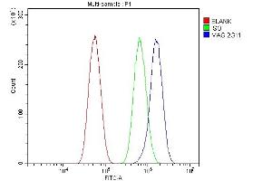 Flow Cytometry analysis of U87 cells using anti-MAG antibody (ABIN7601399). (MAG anticorps  (AA 34-605))