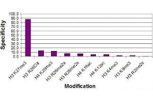 Histone H3 trimethyl Lys27 antibody specificity tested by peptide array analysis.