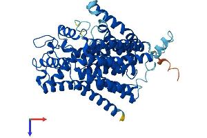 AlphaFold protein structure predicition of Human Recombinant ALG6 Protein, UniprotID Q9Y672