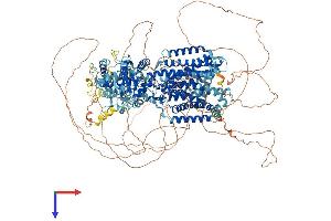 AlphaFold protein structure predicition of Human Recombinant DISP1 Protein, UniprotID Q96F81