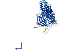 AlphaFold protein structure predicition of Human Recombinant KEAP1 Protein, UniprotID Q14145