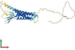AlphaFold protein structure predicition of Mouse Recombinant Cldn18 Protein, UniprotID P56857