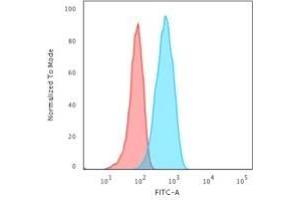 Flow Cytometric Analysis of Raji cells.