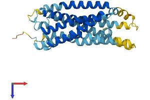 AlphaFold protein structure predicition of Mouse Recombinant Gpr82 Protein, UniprotID Q8BZR0