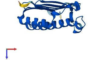 AlphaFold protein structure predicition of Mouse Recombinant Magoh Protein, UniprotID P61327