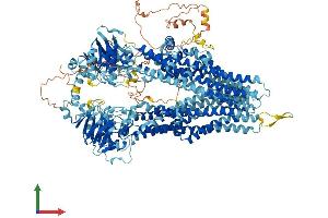 AlphaFold protein structure predicition of Mouse Recombinant Abcc5 Protein, UniprotID Q9R1X5