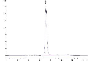 The purity of Biotinylated Human Serum Albumin is greater than 95 % as determined by SEC-HPLC.