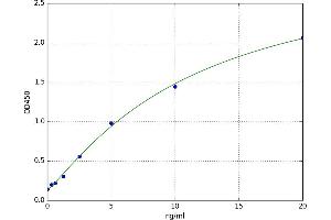 Hydroxyacylglutathione Hydrolase (HAGH) ELISA Kit