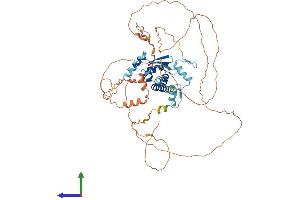 AlphaFold protein structure predicition of Human Recombinant ZBTB3 Protein, UniprotID Q9H5J0