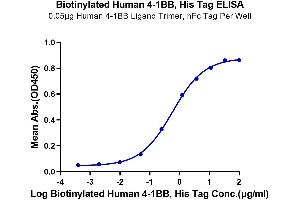 Immobilized Human 4-1BB Ligand Trimer, hFc Tag at 0.