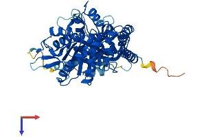 AlphaFold protein structure predicition of Human Recombinant TUBA1C Protein, UniprotID Q9BQE3