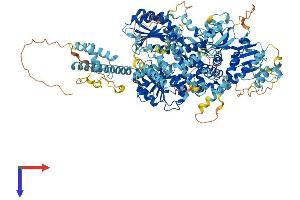 AlphaFold protein structure predicition of Mouse Recombinant Dhx34 Protein, UniprotID Q9DBV3