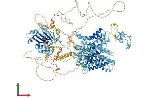 AlphaFold protein structure predicition of Human Recombinant SLC4A7 Protein, UniprotID Q9Y6M7