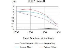 Black line: Control Antigen (100 ng),Purple line: Antigen (10 ng), Blue line: Antigen (50 ng), Red line:Antigen (100 ng) (LSD1 anticorps  (AA 709-876))