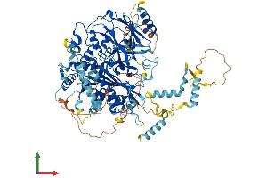 AlphaFold protein structure predicition of Human Recombinant FIG4 Protein, UniprotID Q92562