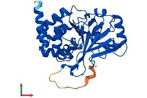 AlphaFold protein structure predicition of Mouse Recombinant Ppp2cb Protein, UniprotID P62715