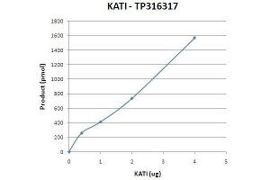 Bioactivity measured with Activity Assay