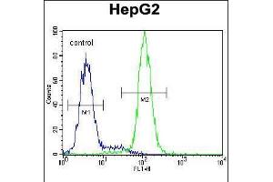 Flow cytometric analysis of HepG2 cells (right histogram) compared to a negative control cell (left histogram). (CST9 anticorps  (C-Term))