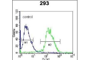 DUSP3 Antibody (C-term) (ABIN392859 and ABIN2842277) flow cytometric analysis of 293 cells (right histogram) compared to a negative control cell (left histogram).