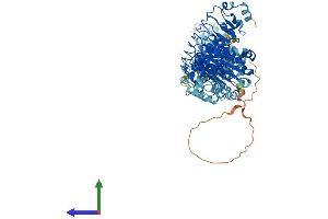 AlphaFold protein structure predicition of Mouse Recombinant Lrrc8e Protein, UniprotID Q66JT1
