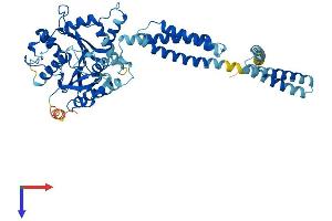 AlphaFold protein structure predicition of Human Recombinant ATL3 Protein, UniprotID Q6DD88