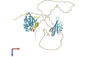 AlphaFold protein structure predicition of Mouse Recombinant Hnrnph1 Protein, UniprotID O35737