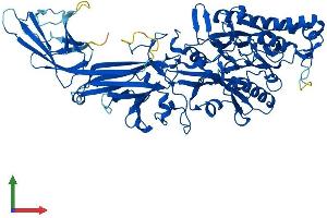 AlphaFold protein structure predicition of Human Recombinant PADI3 Protein, UniprotID Q9ULW8