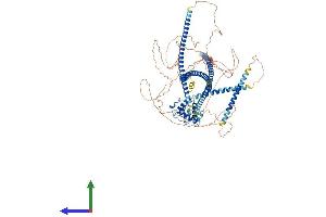 AlphaFold protein structure predicition of Human Recombinant SPECC1 Protein, UniprotID Q5M775