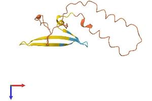 AlphaFold protein structure predicition of Human Recombinant ZNF815P Protein, UniprotID A8K554