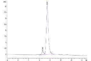 The purity of Biotinylated Rat GARP&Latent TGF Beta 1 Complex is greater than 95 % as determined by SEC-HPLC.