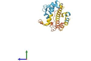 AlphaFold protein structure predicition of Human Recombinant CABP7 Protein, UniprotID Q86V35