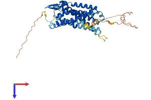 AlphaFold protein structure predicition of Human Recombinant P2RY2 Protein, UniprotID P41231